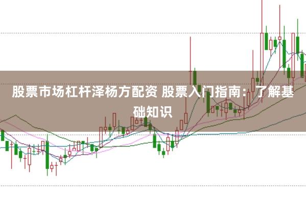 股票市场杠杆泽杨方配资 股票入门指南：了解基础知识