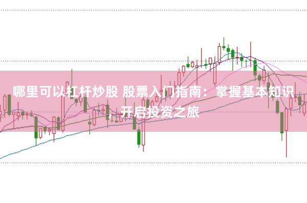 哪里可以杠杆炒股 股票入门指南：掌握基本知识，开启投资之旅