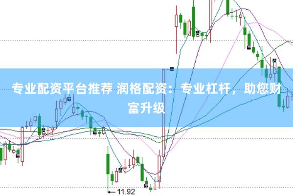 专业配资平台推荐 润格配资：专业杠杆，助您财富升级