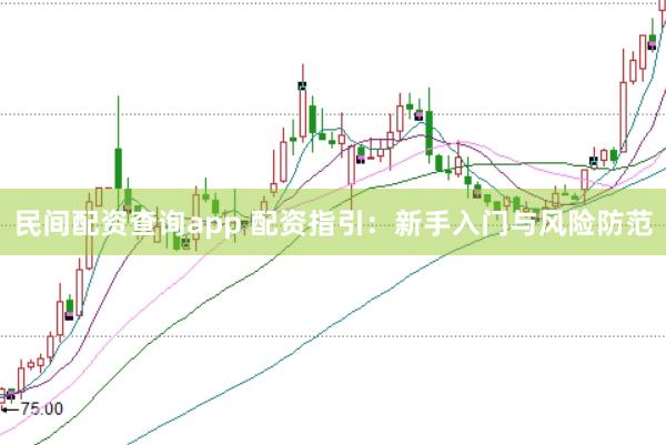 民间配资查询app 配资指引：新手入门与风险防范