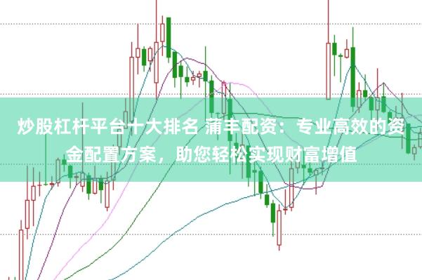 炒股杠杆平台十大排名 蒲丰配资：专业高效的资金配置方案，助您轻松实现财富增值