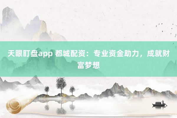 天眼盯盘app 都城配资：专业资金助力，成就财富梦想