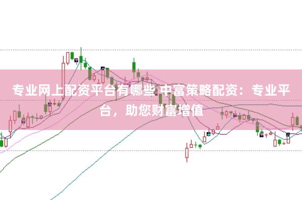 专业网上配资平台有哪些 中富策略配资:专业平台,助您财富增值