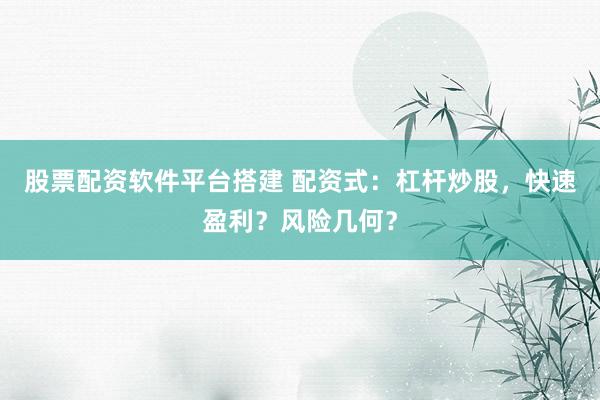股票配资软件平台搭建 配资式:杠杆炒股,快速盈利?风险几何?