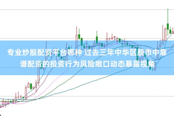 专业炒股配资平台哪种 过去三年中华区股市中靠谱配资的投资行为风险敞口动态暴露视角