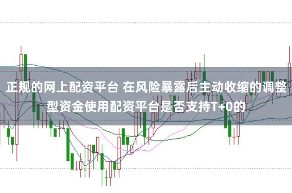 正规的网上配资平台 在风险暴露后主动收缩的调整型资金使用配资平台是否支持T+0的