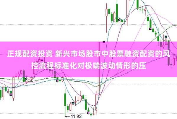 正规配资投资 新兴市场股市中股票融资配资的风控流程标准化对极端波动情形的压