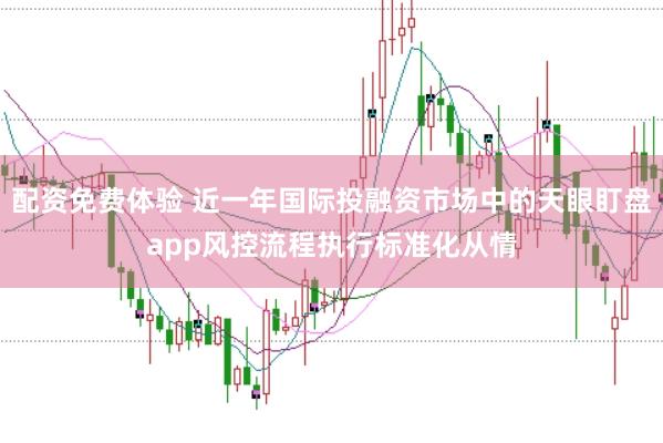 配资免费体验 近一年国际投融资市场中的天眼盯盘app风控流程执行标准化从情
