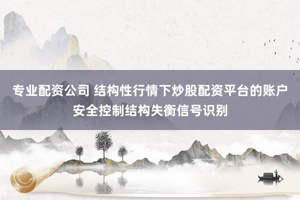 专业配资公司 结构性行情下炒股配资平台的账户安全控制结构失衡信号识别