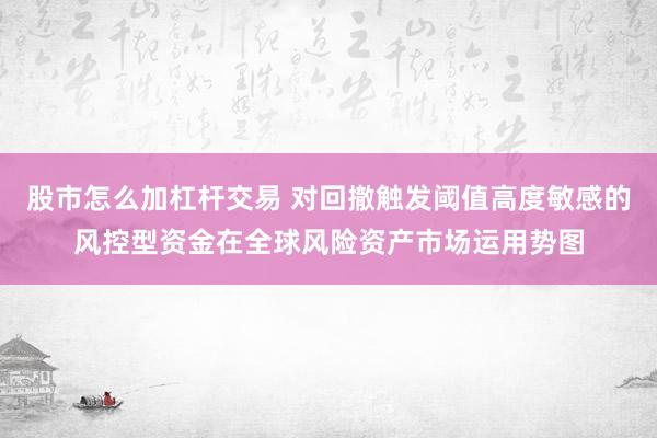 股市怎么加杠杆交易 对回撤触发阈值高度敏感的风控型资金在全球风险资产市场运用势图