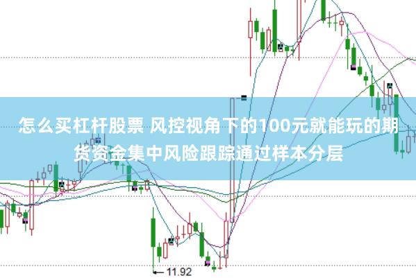 怎么买杠杆股票 风控视角下的100元就能玩的期货资金集中风险跟踪通过样本分层
