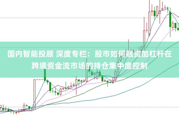 国内智能投顾 深度专栏：股市如何融资加杠杆在跨境资金流市场的持仓集中度控制