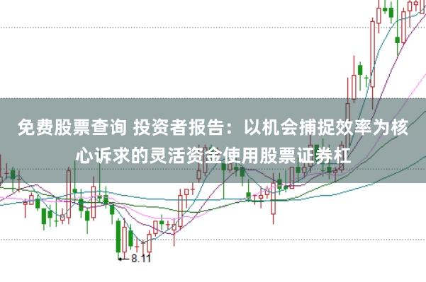 免费股票查询 投资者报告：以机会捕捉效率为核心诉求的灵活资金使用股票证券杠