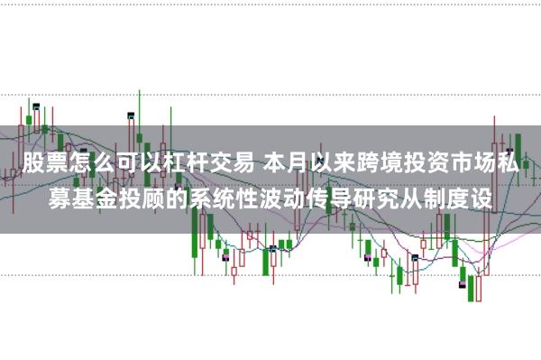 股票怎么可以杠杆交易 本月以来跨境投资市场私募基金投顾的系统性波动传导研究从制度设