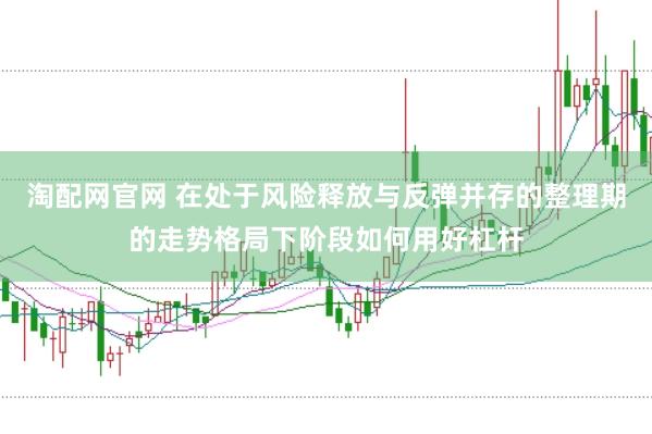淘配网官网 在处于风险释放与反弹并存的整理期的走势格局下阶段如何用好杠杆