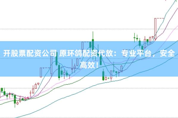 开股票配资公司 原环鸽配资代放：专业平台，安全高效！