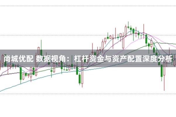 尚城优配 数据视角：杠杆资金与资产配置深度分析