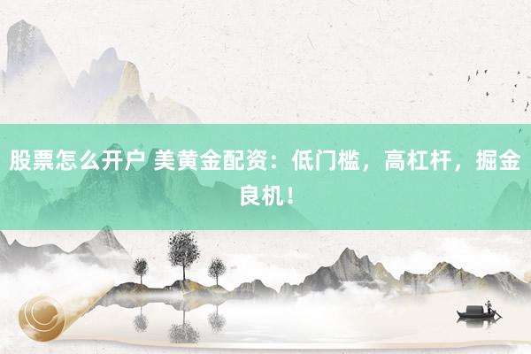 股票怎么开户 美黄金配资：低门槛，高杠杆，掘金良机！