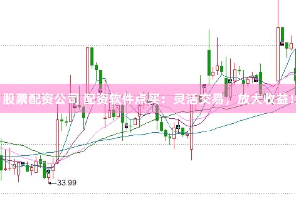 股票配资公司 配资软件点买：灵活交易，放大收益！
