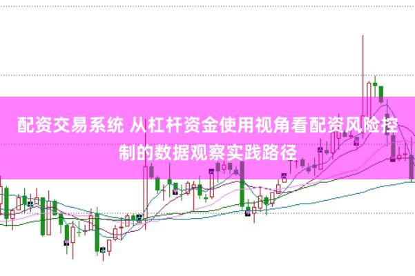 配资交易系统 从杠杆资金使用视角看配资风险控制的数据观察实践路径