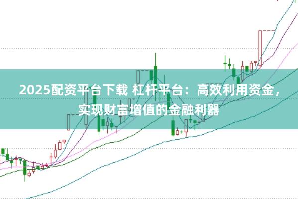 2025配资平台下载 杠杆平台:高效利用资金,实现财富增值的金融利器