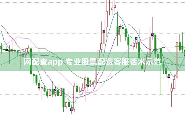 网配查app 专业股票配资客服话术示范